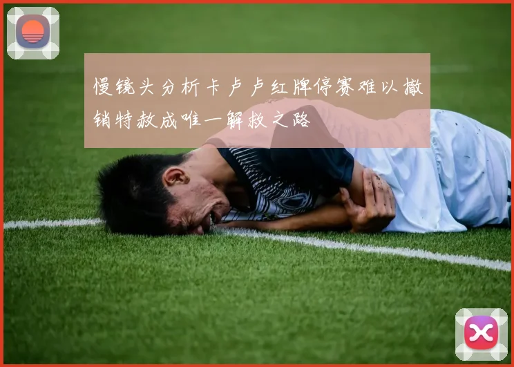 慢镜头分析卡卢卢红牌停赛难以撤销特赦成唯一解救之路
