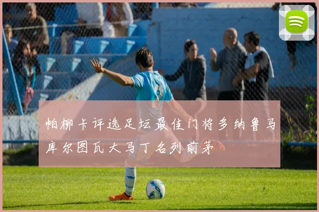 帕柳卡评选足坛最佳门将多纳鲁马库尔图瓦大马丁名列前茅