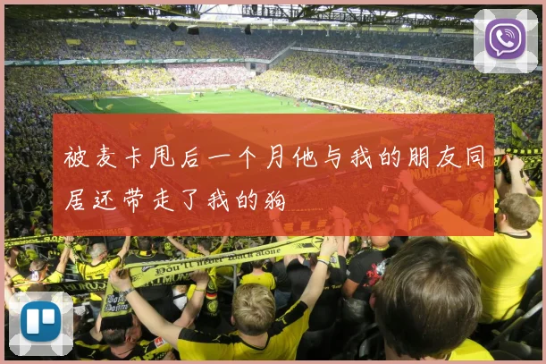 被麦卡甩后一个月他与我的朋友同居还带走了我的狗