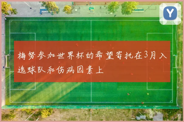 梅努参加世界杯的希望寄托在3月入选球队和伤病因素上