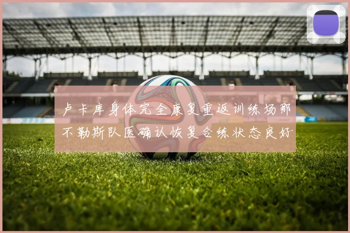 卢卡库身体完全康复重返训练场那不勒斯队医确认恢复合练状态良好