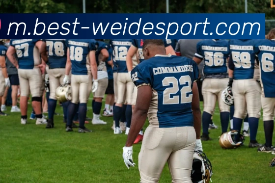 伟德体育APP 封面图